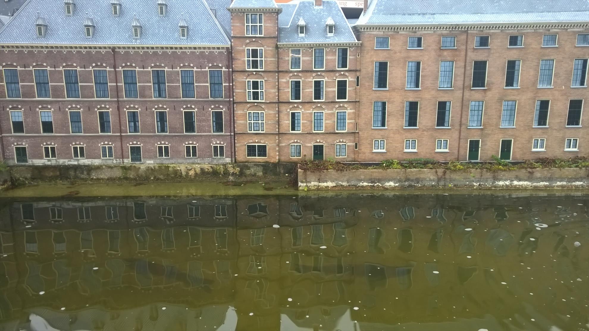 Crapi mutanti - wp20141029333.jpg